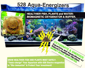 aqua energizer banner