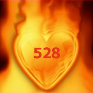 heart528