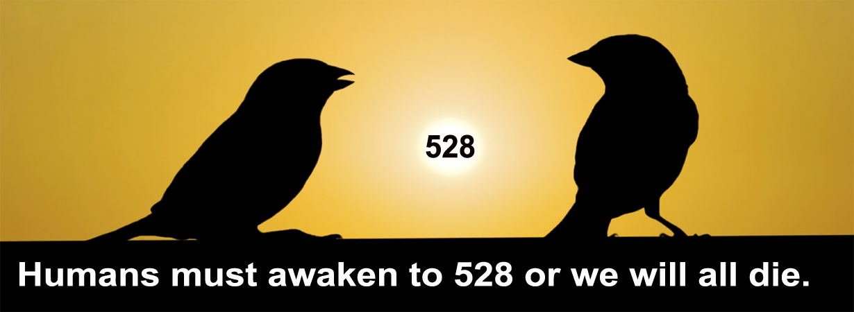 528Hz-Image-51.png