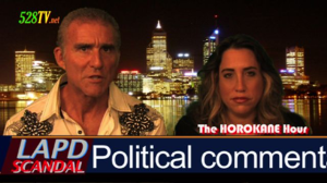 Political Comment by sherri kane and leonard horowitz